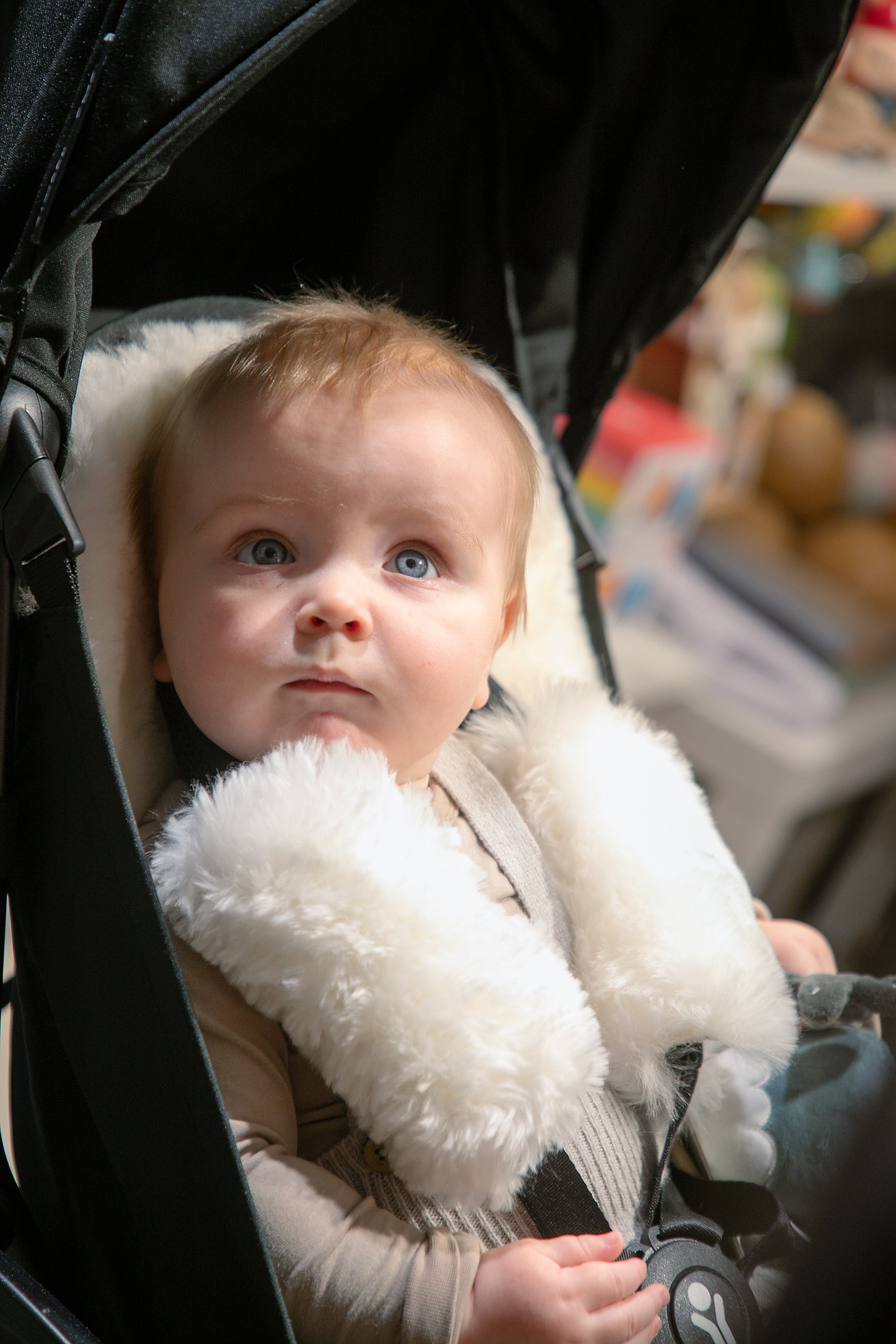 Baby in pram with white sheepskin strap covers. Baby luxury sheepskin.